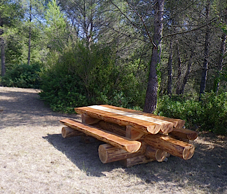 Table dans la forest de pin